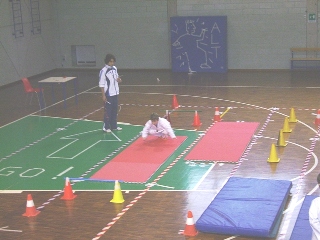 Image description
